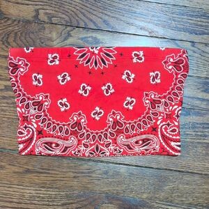 BOGO Forever 21 Red Paisley Tube Top
